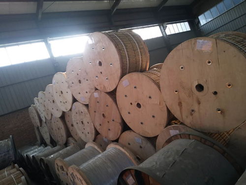 高強度鋼芯鋁絞線jl g3a 35 6 鋼芯鋁絞線生產(chǎn)廠家