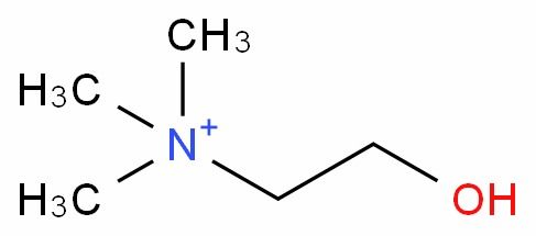 l 膽堿 cas 62 49 7 生產廠家 批發商 價格表
